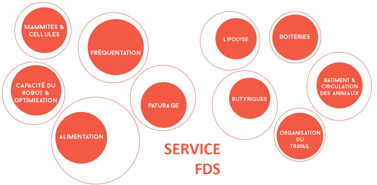 services FDS